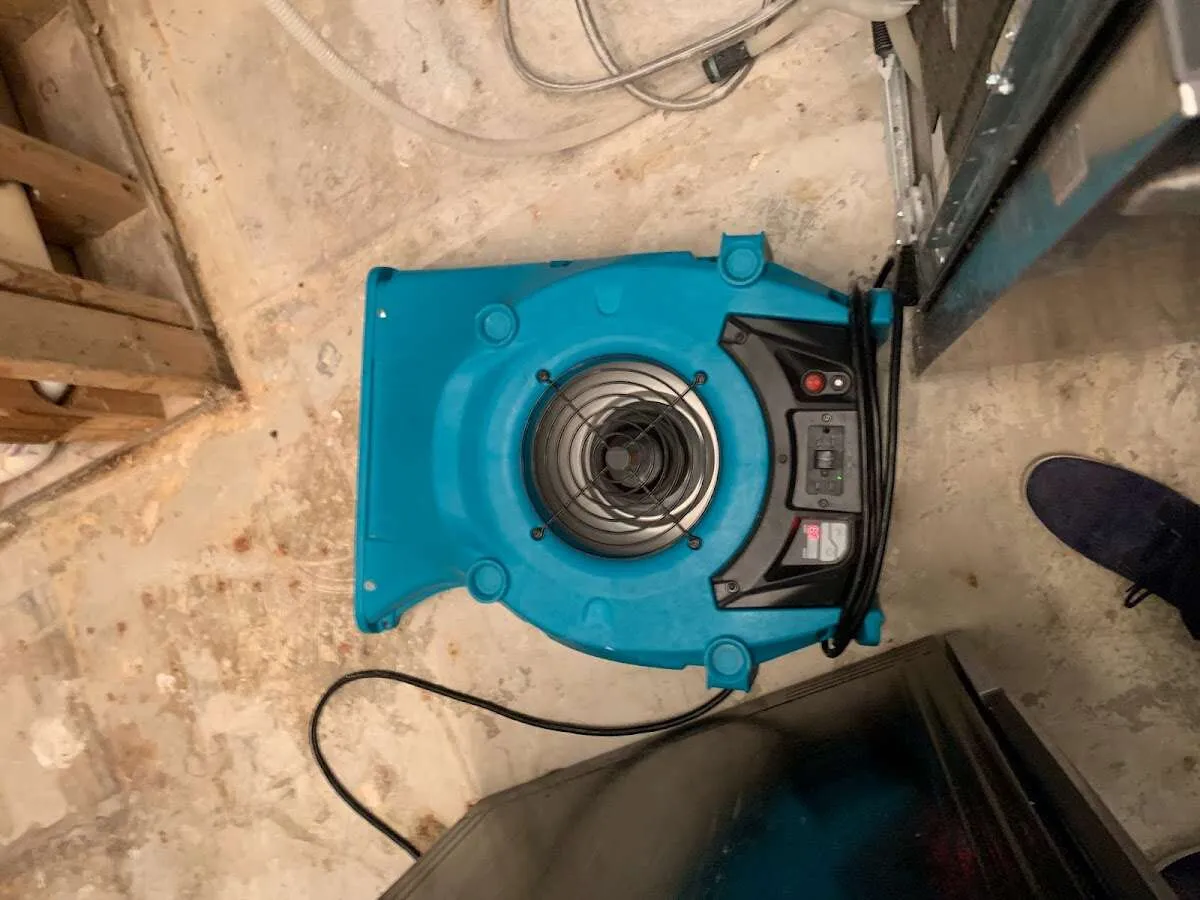 Air mover drying equipment for Mold Remediation & Removal in Volney